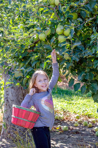 Smiling girl picking michigan apples in an orchard