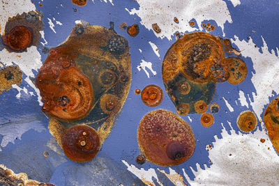 Abstract macro view of the paint and rust on the body of a car