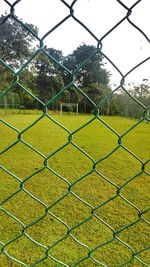 Green field seen through chainlink fence
