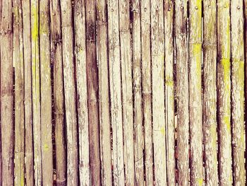 Full frame shot of wood