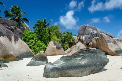 Panoramic view of rocks and trees against sky