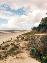 Scenic view of beach against sky