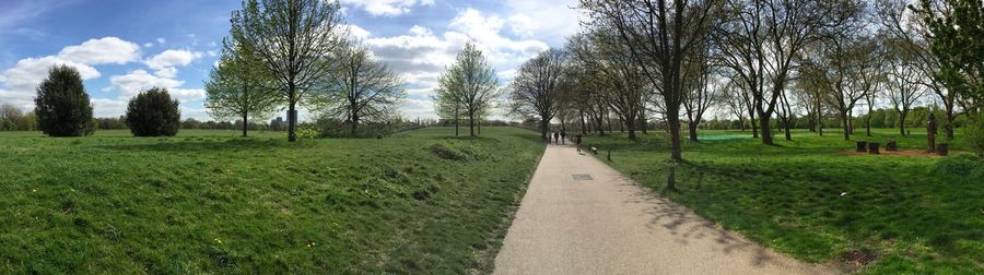 Road amidst trees on field against sky