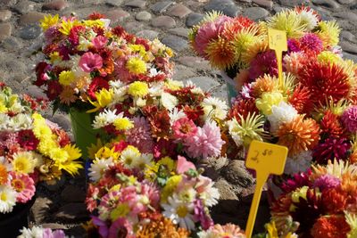 Close-up of various flowers on display for sale