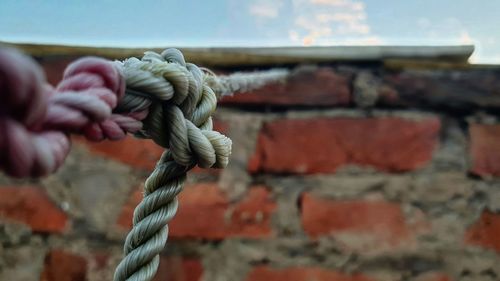 Close-up of rope tied on wall