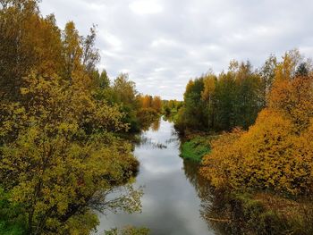 Scenic view of trees against sky during autumn