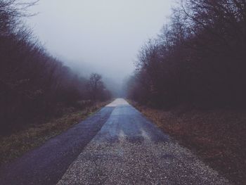 Road passing through trees