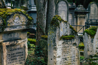 View of cross in cemetery