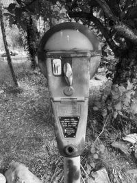 Close-up of old telephone pole in forest