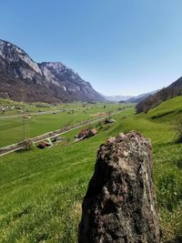 Scenic view of field against clear sky