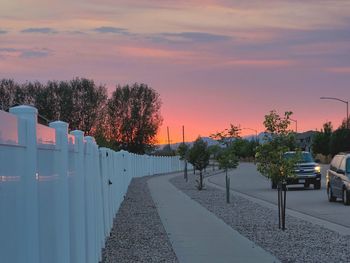 Footpath amidst trees against sky during sunset