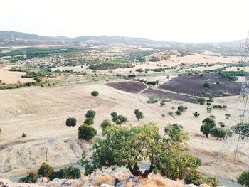 High angle view of trees on field against sky