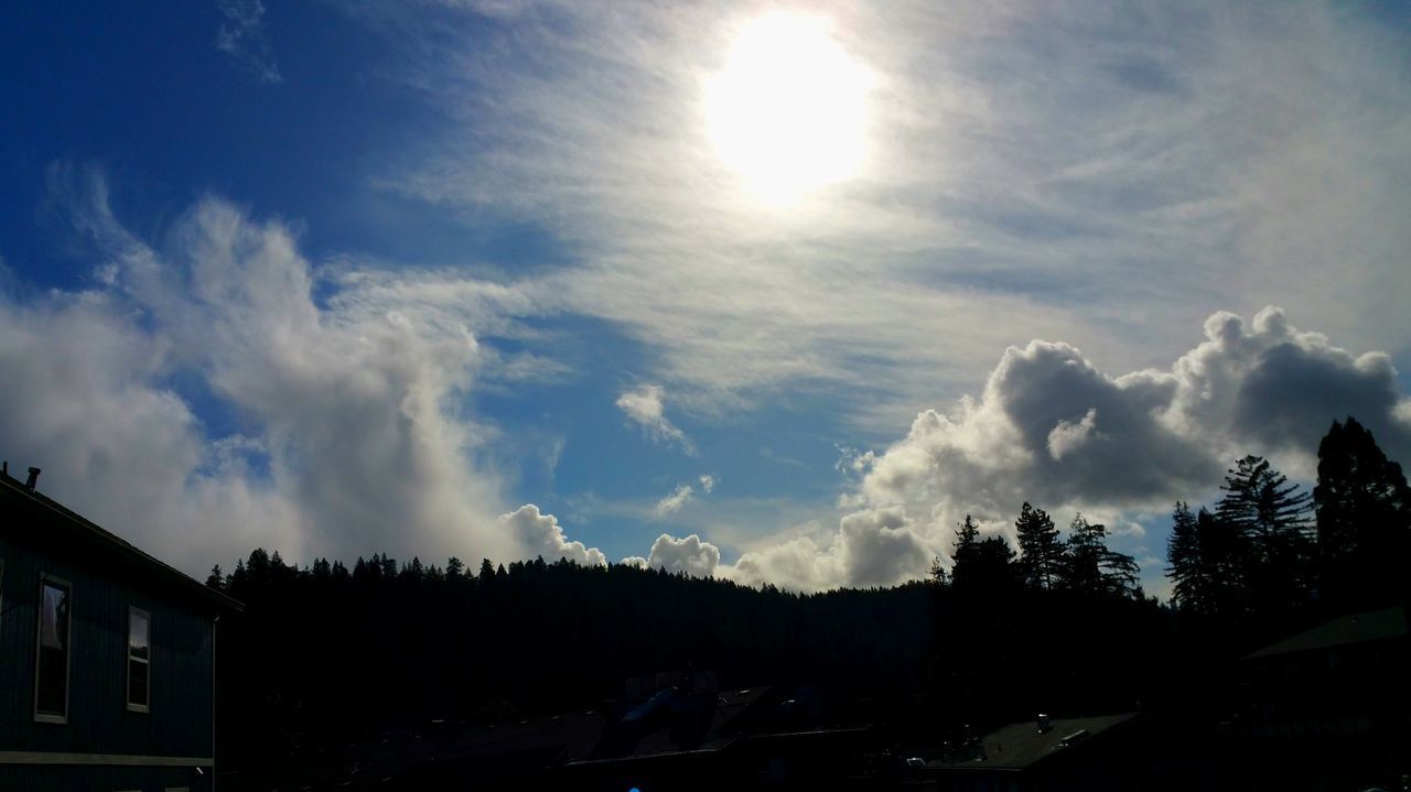 PANORAMIC VIEW OF SILHOUETTE TREES AGAINST SKY