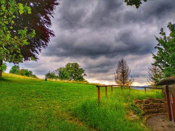 Trees on field against cloudy sky