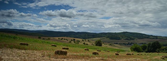 Scenic view of grassy field against cloudy sky