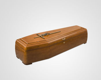 High angle view of insect on white background