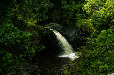 High angle view of waterfall on mountain in forest