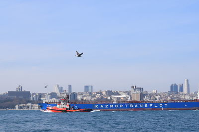 Bird flying over sea with cityscape in background