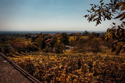 Plants growing on railroad track by trees against sky