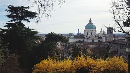 Panoramic view of trees and buildings against sky