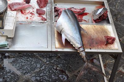 High angle view of fish for sale at market