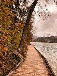 Footpath by lake against sky during autumn