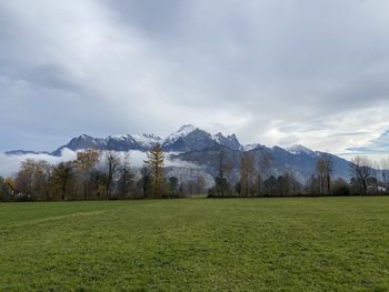 Scenic view of field against sky