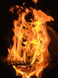 Close-up of bonfire at night