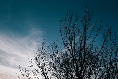 Low angle view of bare trees against blue sky