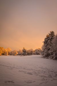 Scenic view of snow covered landscape