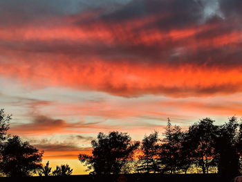 Low angle view of silhouette trees against dramatic sky