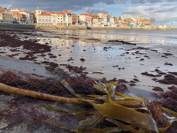 Scenic view of sea by buildings against sky