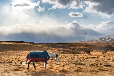 Beautiful view along the godley peaks road to the mt john astronomical observatory, new zealand.