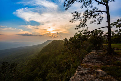 Scenic view of landscape against sky during sunset