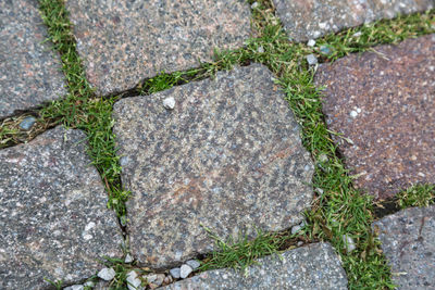 High angle view of stone wall