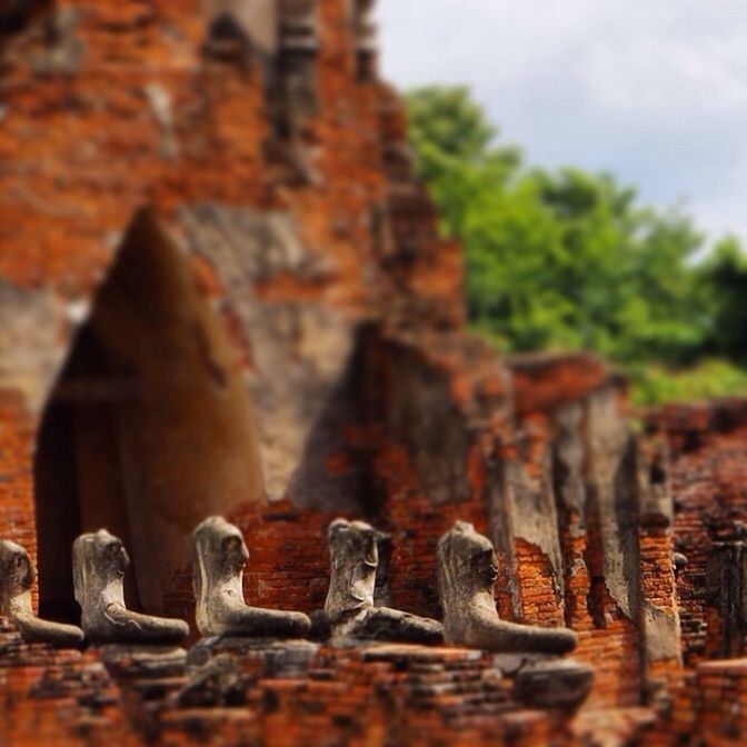 nature, focus on foreground, old, selective focus, tree, sky, no people, rock - object, outdoors, day, history, close-up, tranquility, the past, weathered, textured, stone, old ruin, ancient, tranquil scene