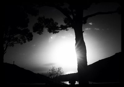 Low angle view of bare tree against sky