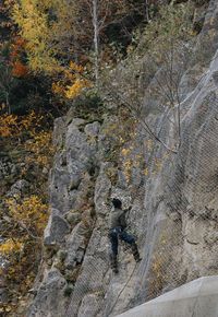 Shadow of person on rock in forest