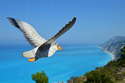 Seagull flying over sea against blue sky