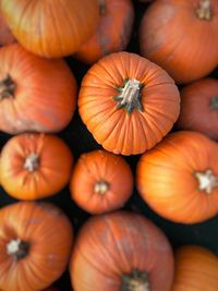 Full frame shot of pumpkins