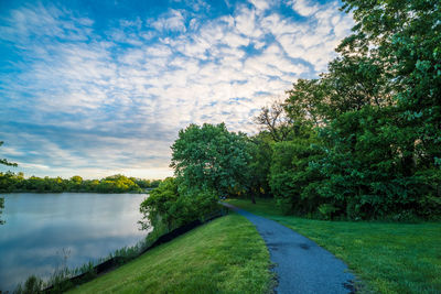 Road by trees against sky