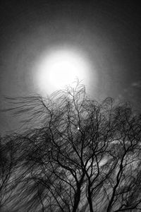 Low angle view of bare trees against sky