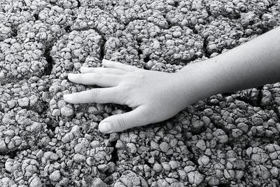 Close-up of cropped hand on cracked field