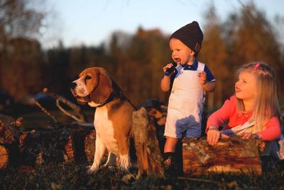 Siblings playing with wood by dog on field against trees in forest during sunset