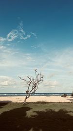 Scenic view of beach against sky during sunset