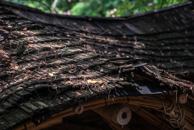 Close-up of abandoned roof