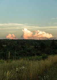 Scenic view of field against sky