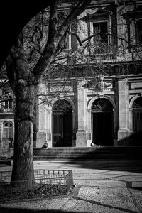 architecture