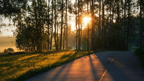 Road amidst trees against sky during sunset