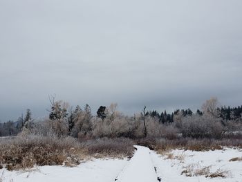 Snow covered field against sky